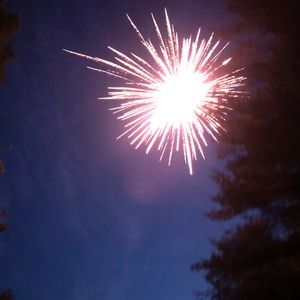 Meet your Posher, Darcie